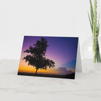 弓術家分野のSurise カード