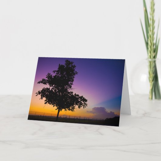 弓術家分野のSurise カード (正面)