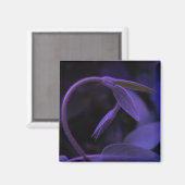 弓 マグネット (正面/裏面)