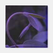 弓 マグネット (正面)