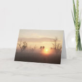 弔慰カード カード (正面)