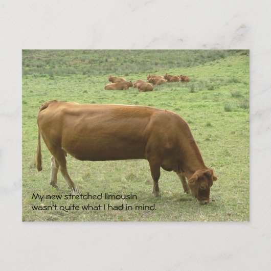 引き伸ばしリムハガキ ポストカード (正面)