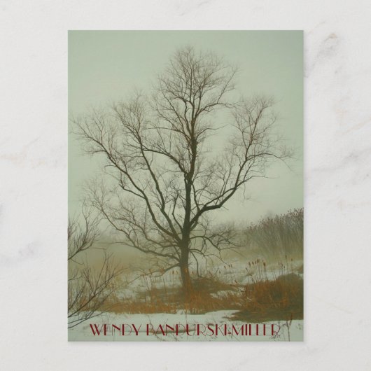 引き伸ばし用冬木 ポストカード (正面)