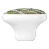 引き出し引き寄せ – 緑の上の白いスパイラル セラミックノブ (側面)