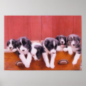 引き出し縁どの中のコリーの子犬絵画たち ポスター (正面)