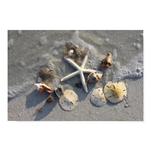 引き潮の浜の宝物