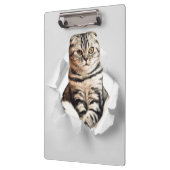 引き裂おもしろいかれた紙幻想を通して灰色の猫が飛び出す クリップボード (左)