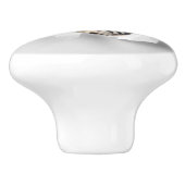 引き裂おもしろいかれた紙幻想を通して灰色の猫が飛び出す セラミックノブ (側面)