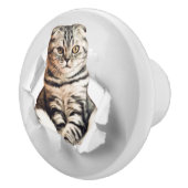 引き裂おもしろいかれた紙幻想を通して灰色の猫が飛び出す セラミックノブ (右)