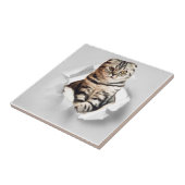 引き裂おもしろいかれた紙幻想を通して灰色の猫が飛び出す タイル (側面)