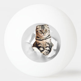 引き裂おもしろいかれた紙幻想を通して灰色の猫が飛び出す 卓球ボール