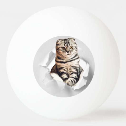 引き裂おもしろいかれた紙幻想を通して灰色の猫が飛び出す 卓球ボール (正面)