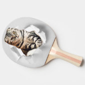 引き裂おもしろいかれた紙幻想を通して灰色の猫が飛び出す 卓球ラケット (横)