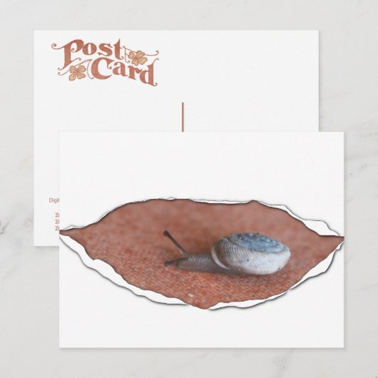 引き裂かれた材料の下でカタツムリ ポストカード (正面/裏面)