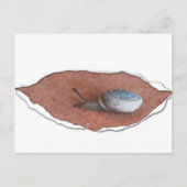 引き裂かれた材料の下でカタツムリ ポストカード (正面)