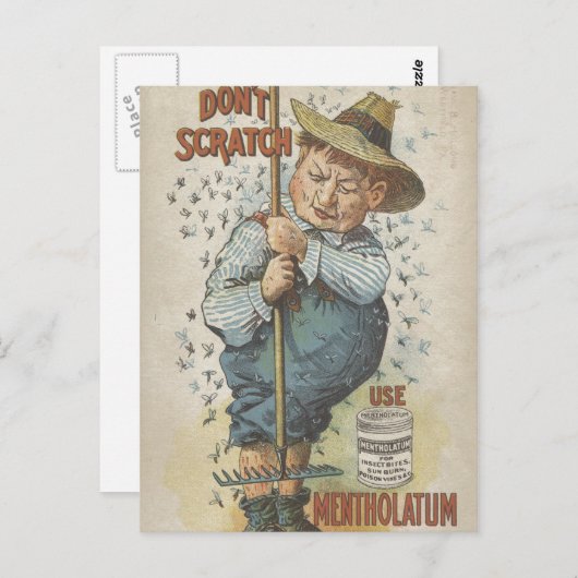 引っかき禁止 メンタラム エフェメラを使用 ポストカード (正面/裏面)