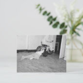 引っ張られる ポストカード (スタンド正面)