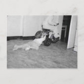 引っ張られる ポストカード (正面)