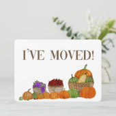 引っ越した!感謝祭のアドレス発表 シーズンカード (スタンド正面)