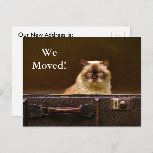 引っ越した!新しい住所お知らせcatをスーツケースに 案内ポストカード (正面/裏面)