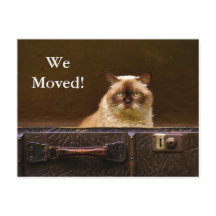 引っ越した！新しい住所お知らせcatをスーツケースに