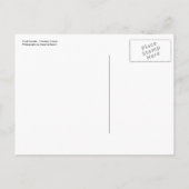 引っ越した! 案内ポストカード (裏面)