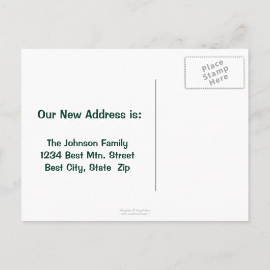 引っ越した！Lushの転が山々のアドレス変更 案内ポストカード (裏面)