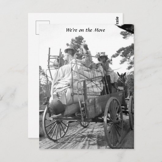 引っ越しはがきに移りました ポストカード (正面/裏面)