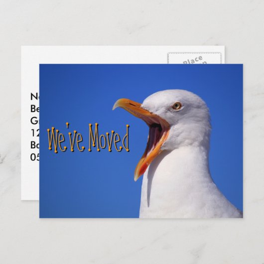 引っ越しましたおもしろいカモメ絵葉書 案内ポストカード (正面/裏面)