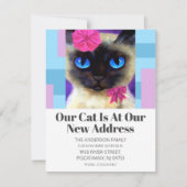 引っ越しましたかわいいペット猫ニューアドレス文字 案内状 (正面)