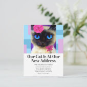 引っ越しましたかわいいペット猫ニューアドレス文字 案内状 (スタンド正面)