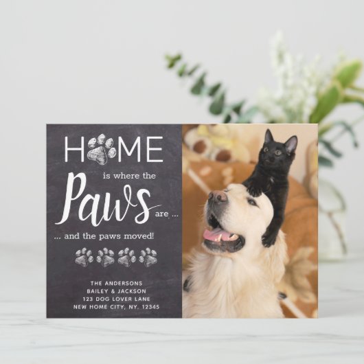 引っ越しましたの新しいアドレス猫の犬ペットの写真の移動 案内状 (スタンド正面)