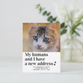 引っ越しましたの新しい住所ペットの写真の猫の移動 ポストカード (スタンド正面)
