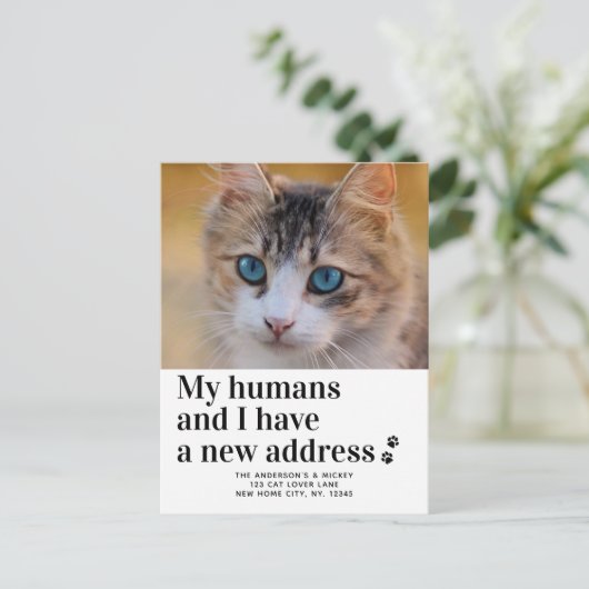 引っ越しましたの新しい住所ペットの写真の猫の移動 ポストカード (スタンド正面)