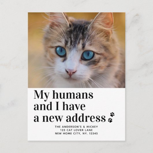 引っ越しましたの新しい住所ペットの写真の猫の移動 ポストカード (正面)