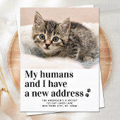 引っ越しましたの新しい住所ペットの写真の猫の移動 案内ポストカード