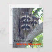 引っ越しましたはがき(ツリー内のアライグマ) 案内ポストカード (正面/裏面)