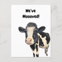 引っ越しましたはがき