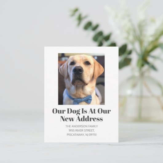 引っ越しましたゴールデンレトリエバーペットドッグ名移動 案内状 (スタンド正面)