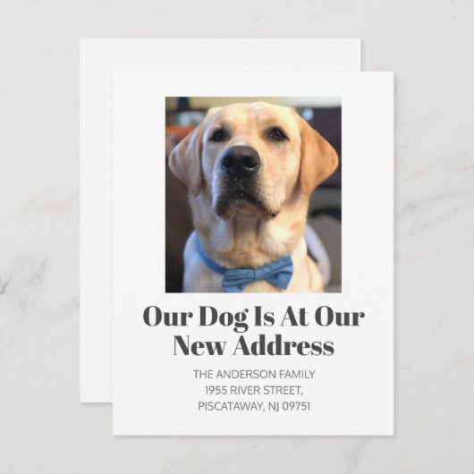 引っ越しましたゴールデンレトリエバーペットドッグ名移動 案内状 (正面/裏面)