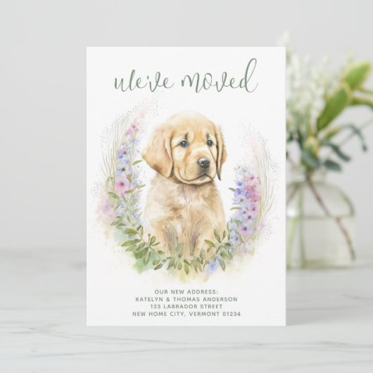 引っ越しましたゴールデンレトリバーパピードッグ移動 案内状 (スタンド正面)