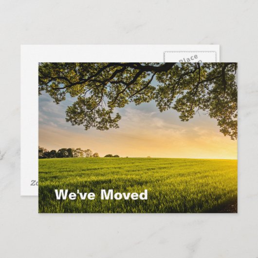 引っ越しましたサンセットフィールド新しいホームアドレス 案内ポストカード (正面/裏面)