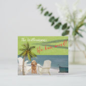 引っ越しましたドッグ海ビーチ予算の移動 案内状 (スタンド正面)