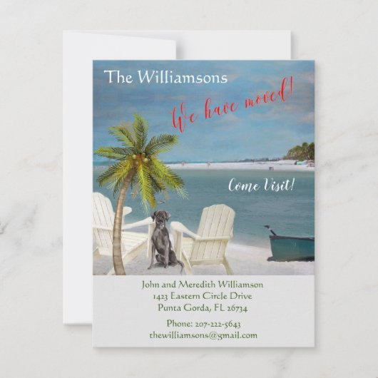 引っ越しましたドッグ海ビーチ予算の移動 案内状 (正面)