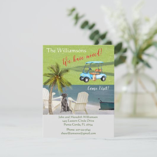 引っ越しましたドッグ海ビーチ予算の移動 案内状 (スタンド正面)