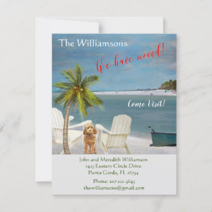 引っ越しましたドッグ海ビーチ予算の移動 案内状