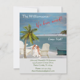 引っ越しましたドッグ海ビーチ移動 案内状