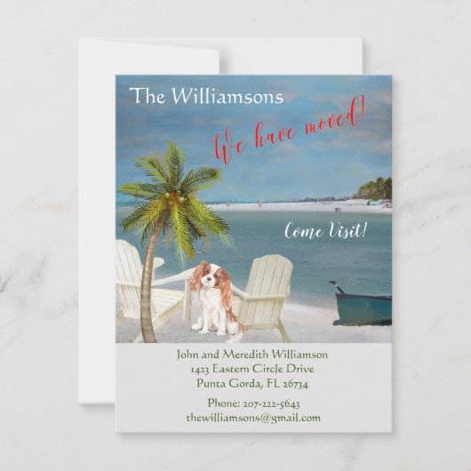 引っ越しましたドッグ海ビーチ移動 案内状 (正面)