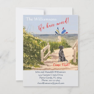 引っ越しましたドッグ海ビーチ移動 案内状