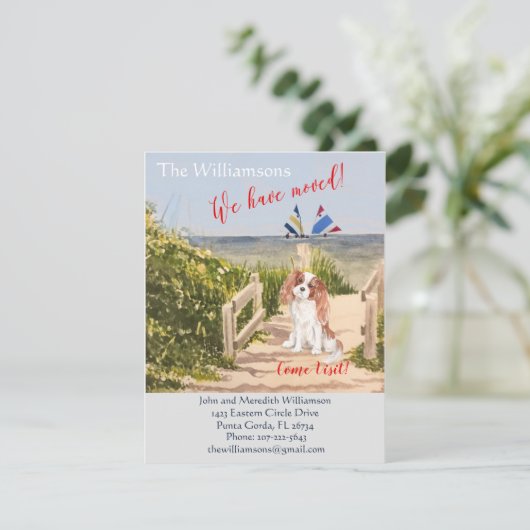 引っ越しましたドッグ海ビーチ移動 案内状 (スタンド正面)